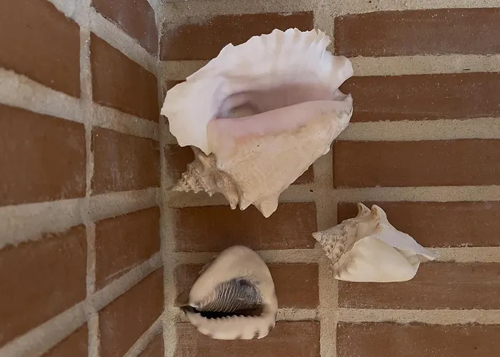 Casa Estrela * ローレ