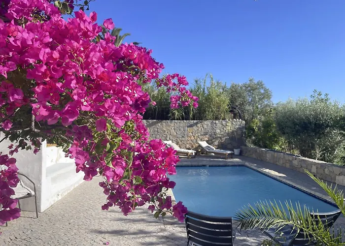 ホームステイ Casa Estrela